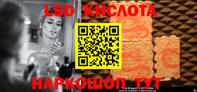 индика Славгород