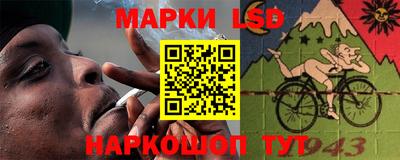 индика Славгород