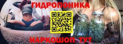 ECSTASY Сланцы