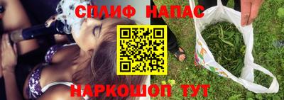 индика Славгород