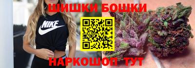 индика Славгород