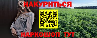 индика Славгород