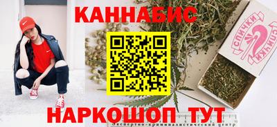индика Славгород