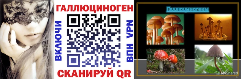 Галлюциногенные грибы прущие грибы  blacksprut ТОР  Балашов 