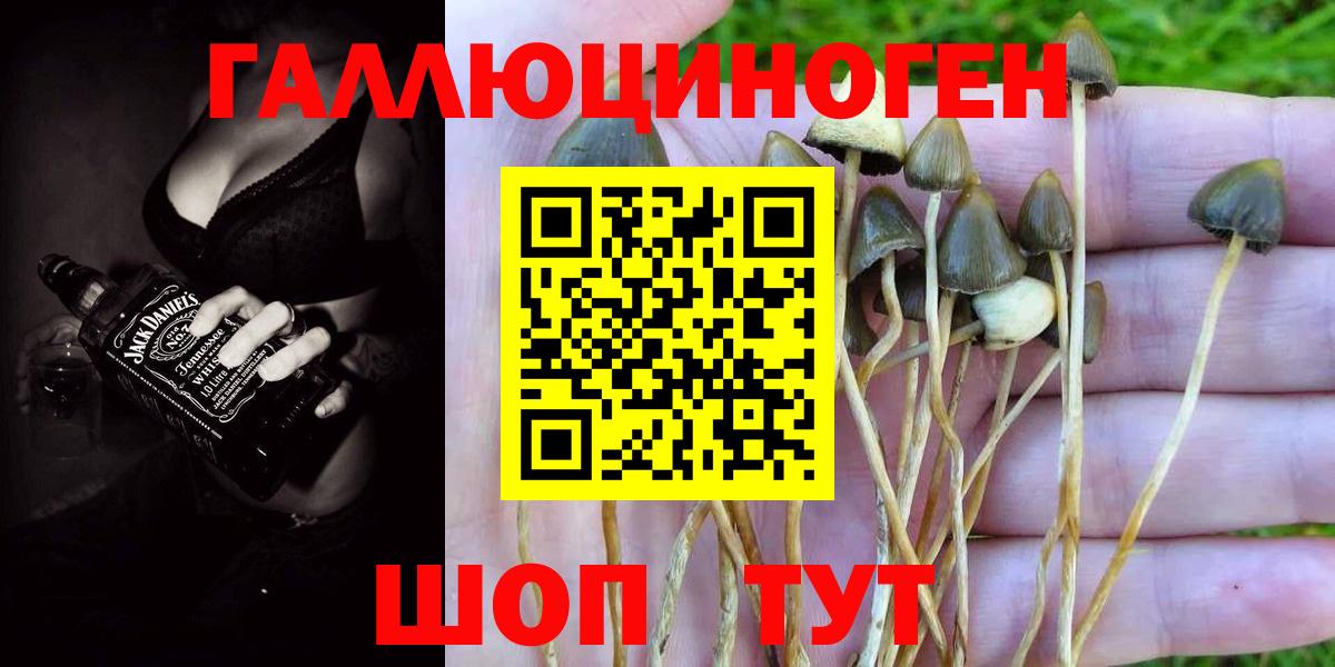 купить  сайты  Галлюциногенные грибы GOLDEN TEACHER  Галлюциногенные грибы Cubensis  Вход с VPN  Балашов 